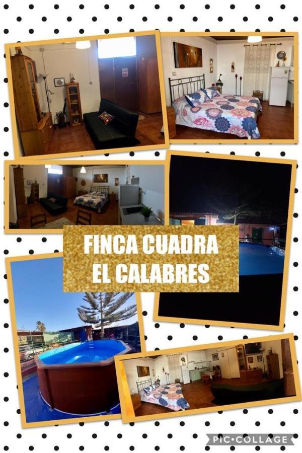 La Cuadra Finca El Calabrés Agüimes Exterior foto